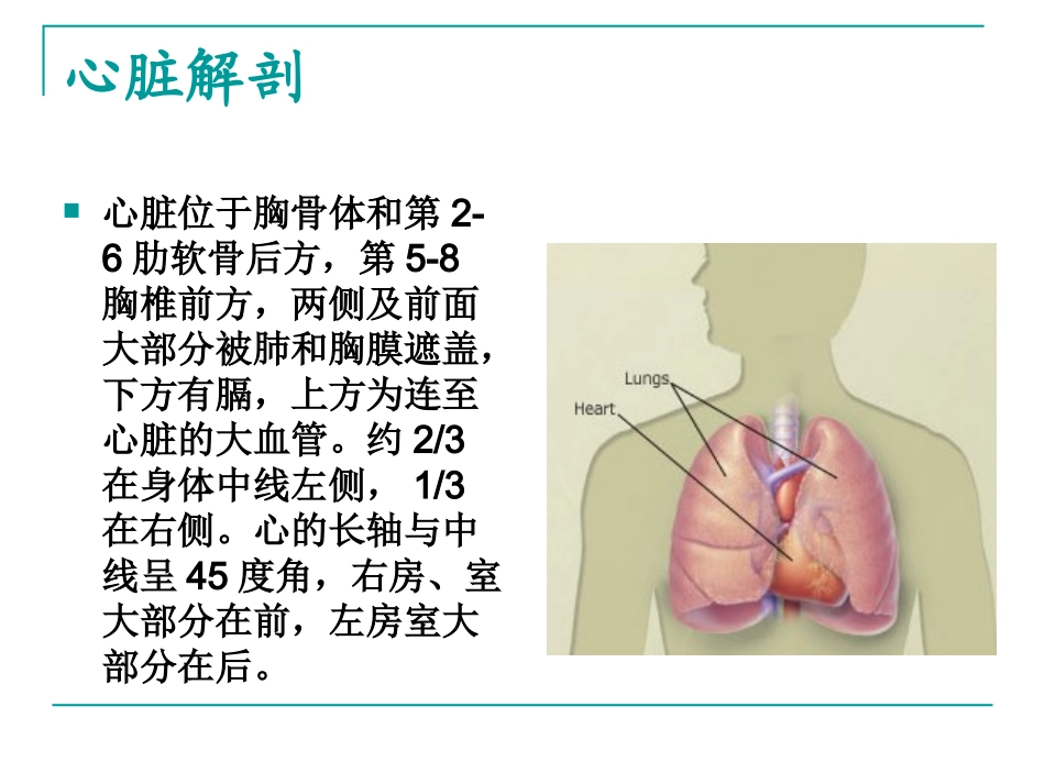心脏检查(1).ppt_第2页