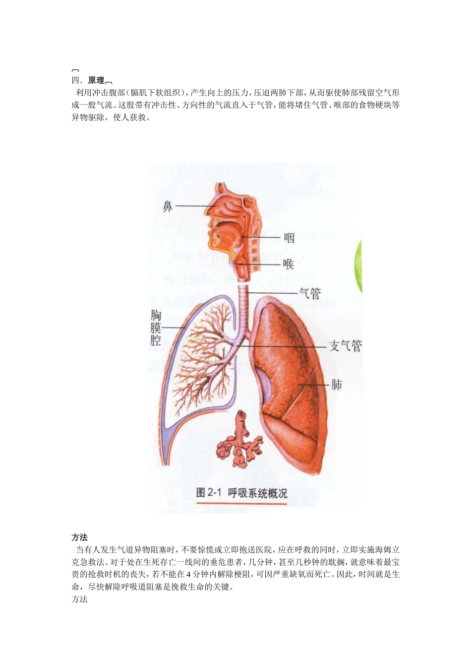 气管异物阻塞的急救.doc_第2页
