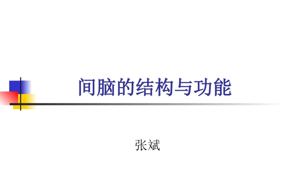 丘脑结构及功能.ppt