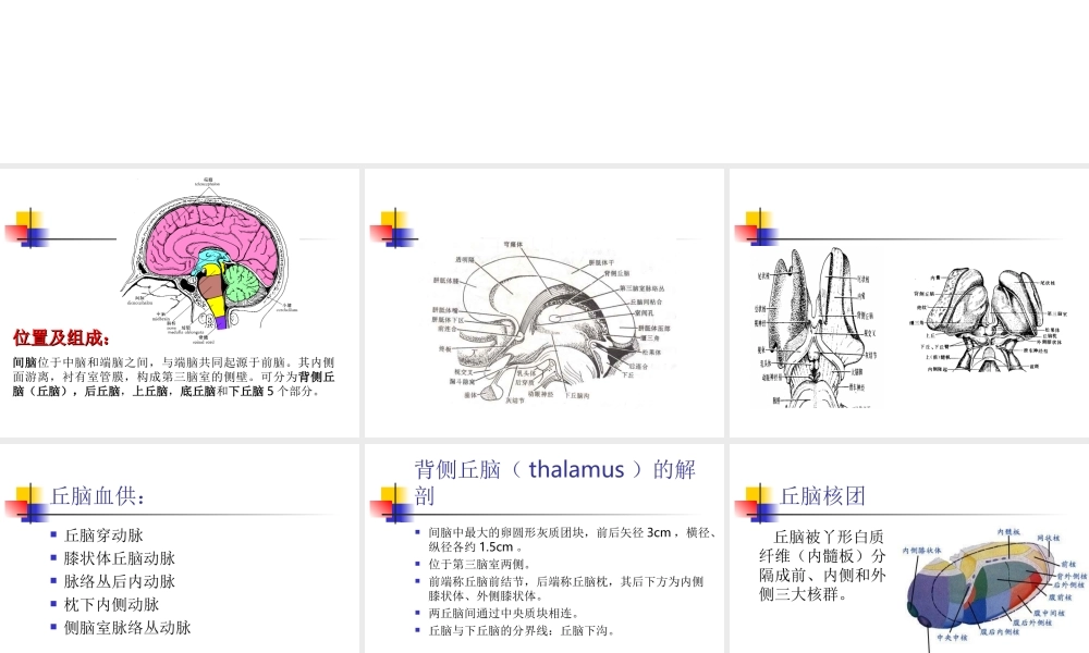 丘脑结构及功能.ppt