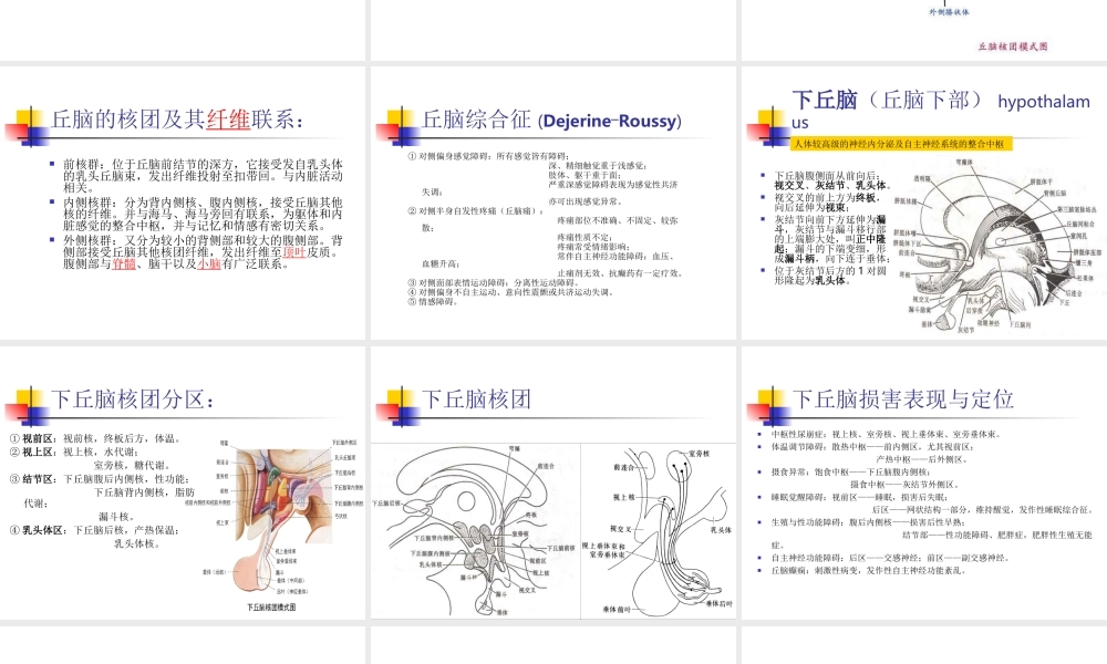 丘脑结构及功能.ppt
