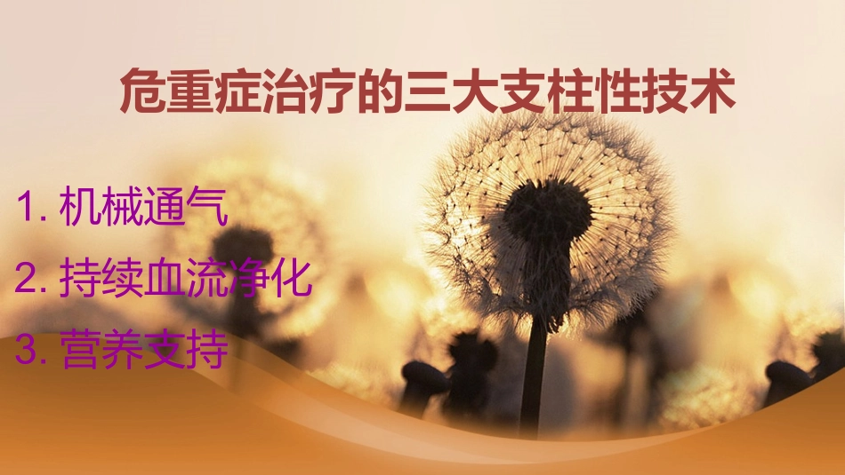 危重病人的肠内营养支持.pptx_第2页