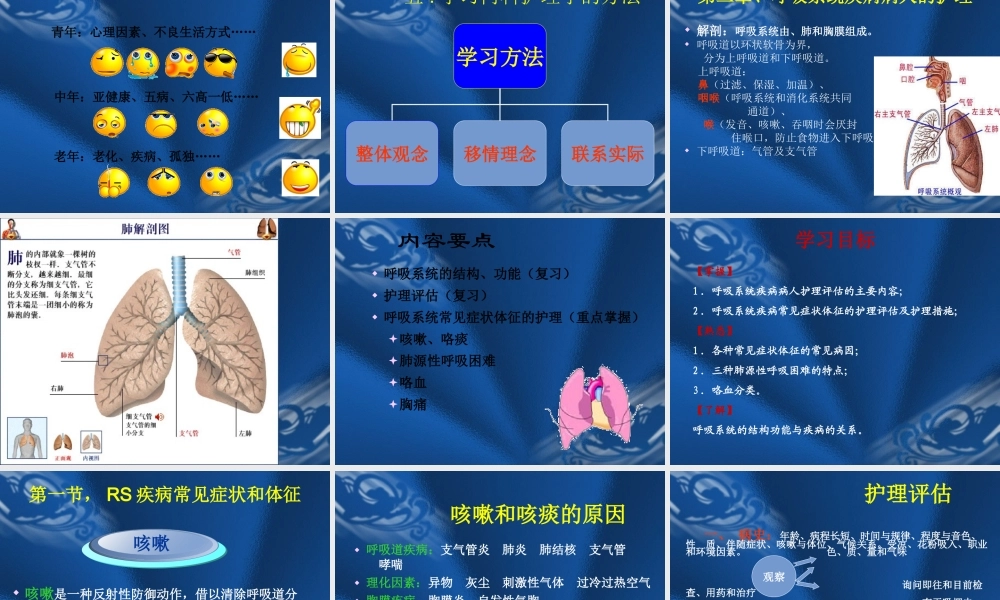 呼吸1绪论及呼吸系统总论副本.ppt