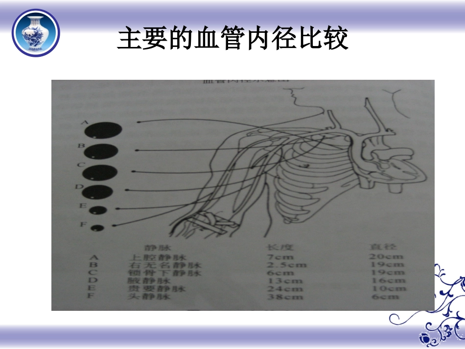 危重病人血管保护.ppt.ppt_第3页