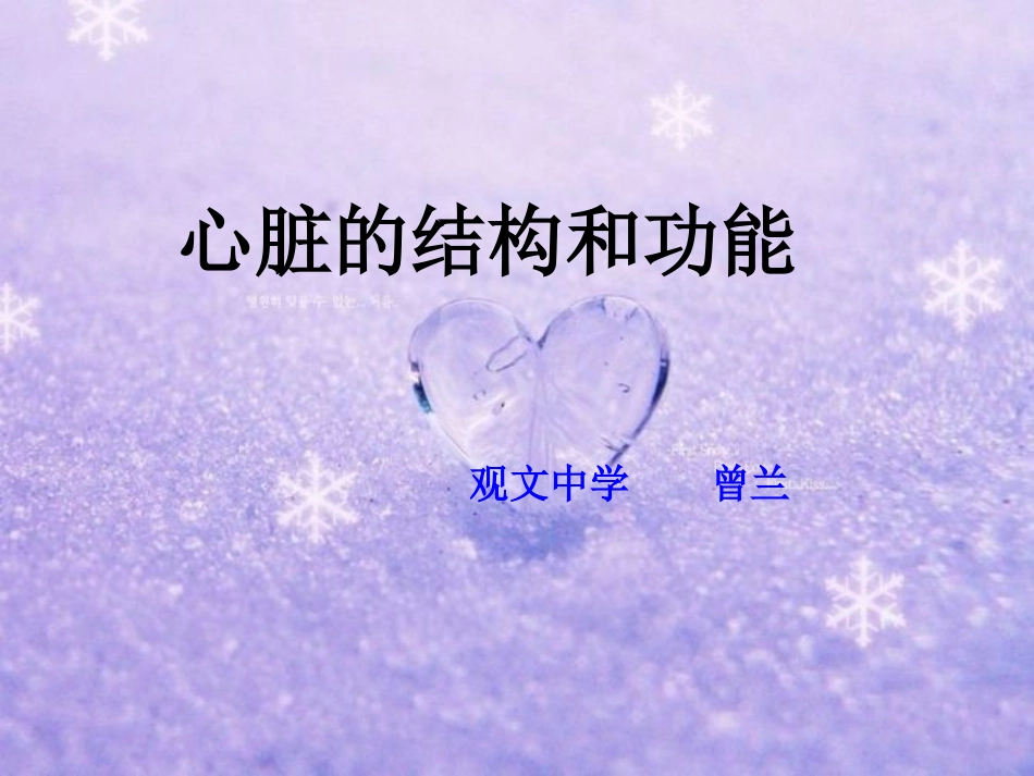 心脏的结构和功能.ppt_第1页