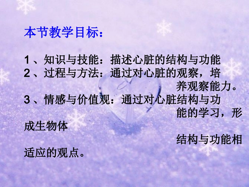 心脏的结构和功能.ppt_第2页