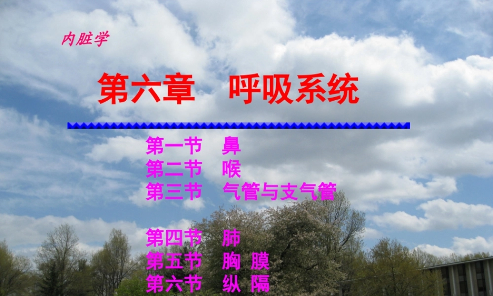 呼吸系统-程葆华1.ppt