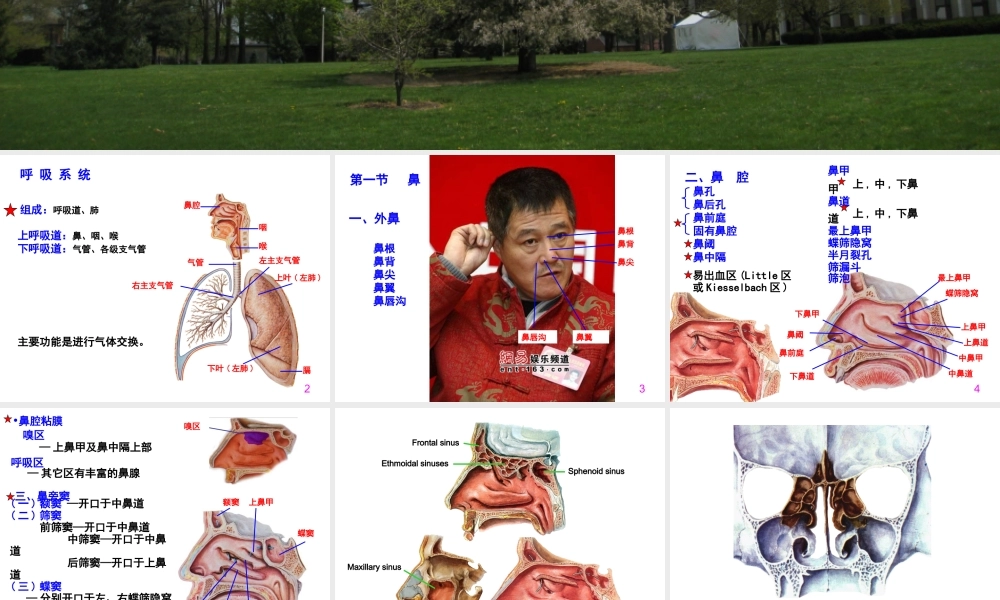 呼吸系统-程葆华1.ppt
