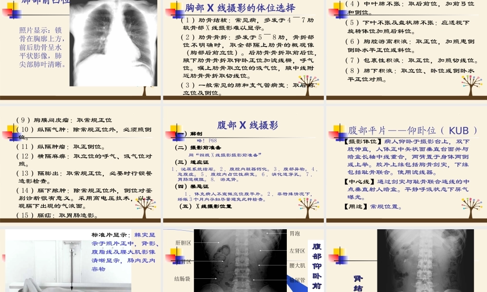 呼吸、循环、消化、泌尿影像学.ppt
