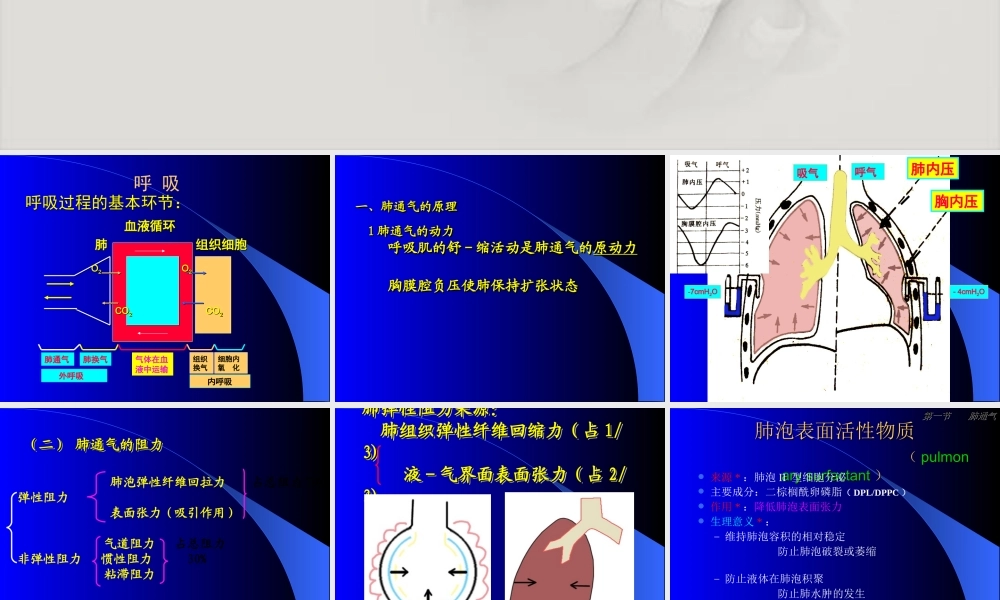 呼吸机的基本知识.ppt