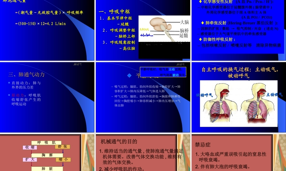 呼吸机的基本知识.ppt