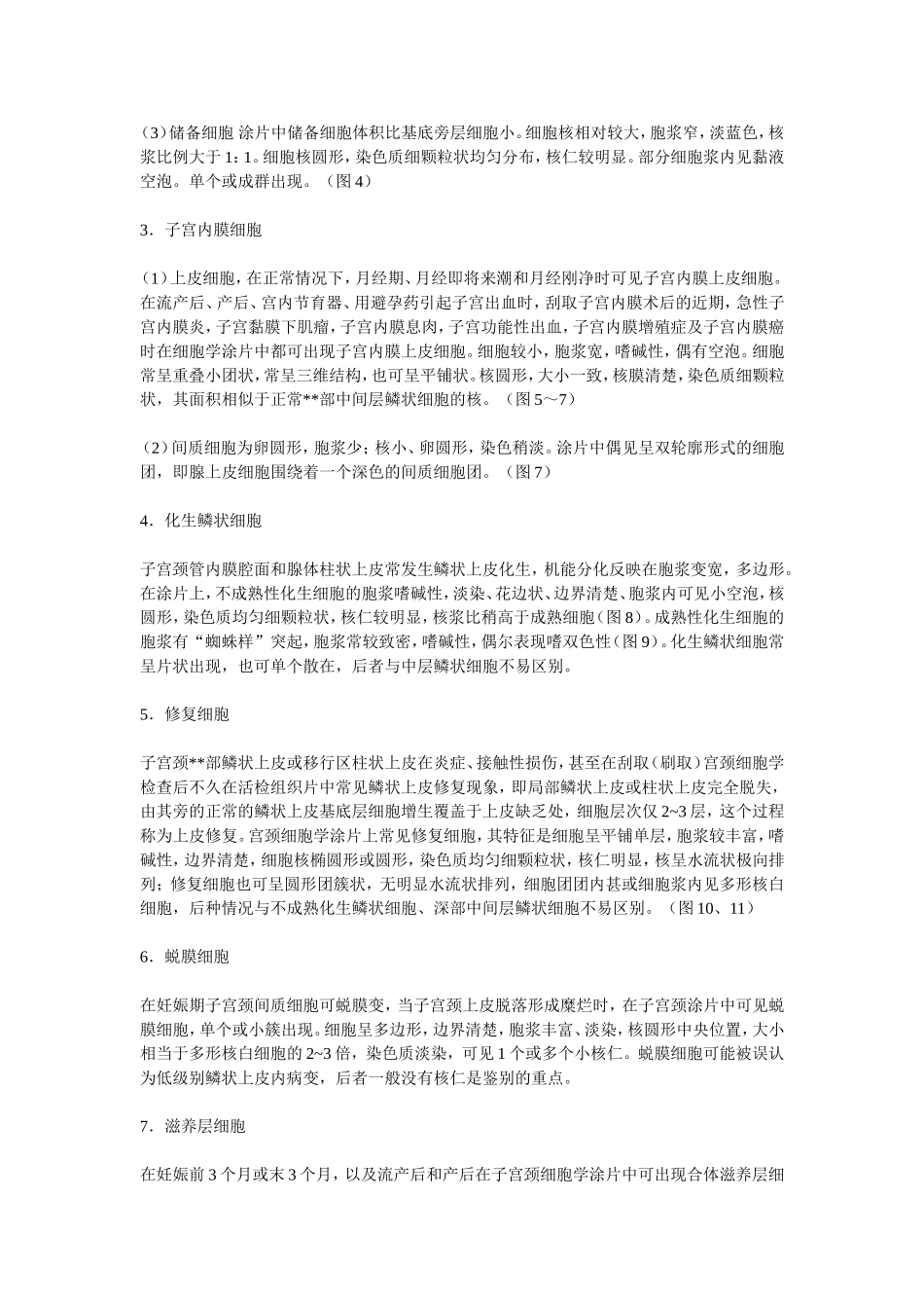 子宫颈正常组织学与细胞学.doc_第3页