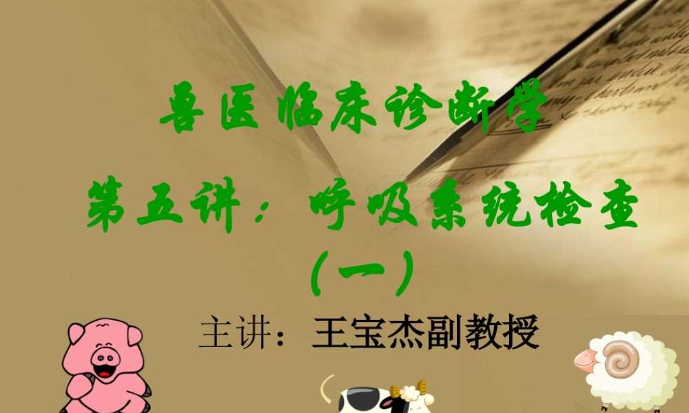 呼吸系统检查1.ppt