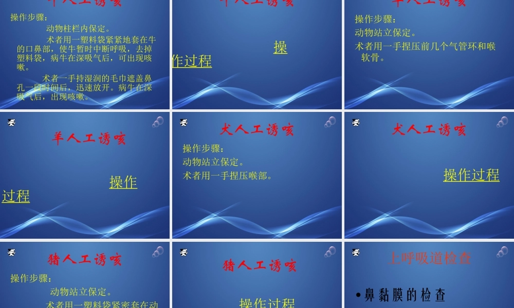 呼吸系统检查1.ppt