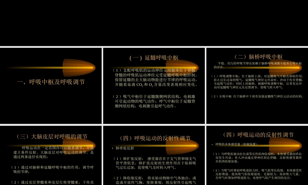 呼吸中枢和呼吸肌功能测定.ppt