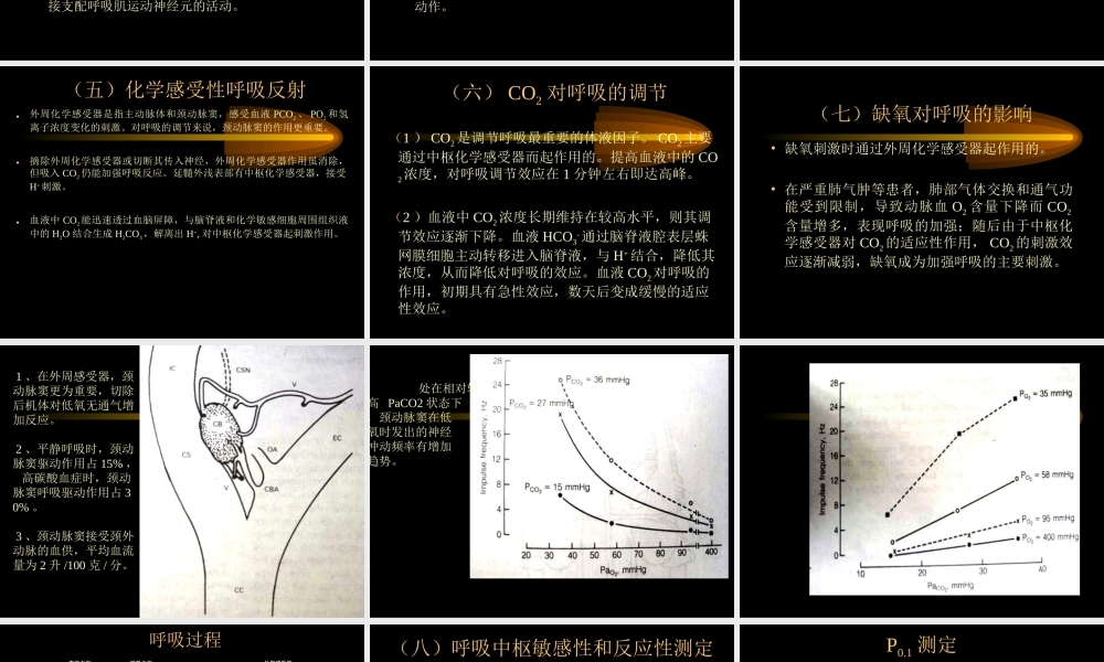 呼吸中枢和呼吸肌功能测定.ppt