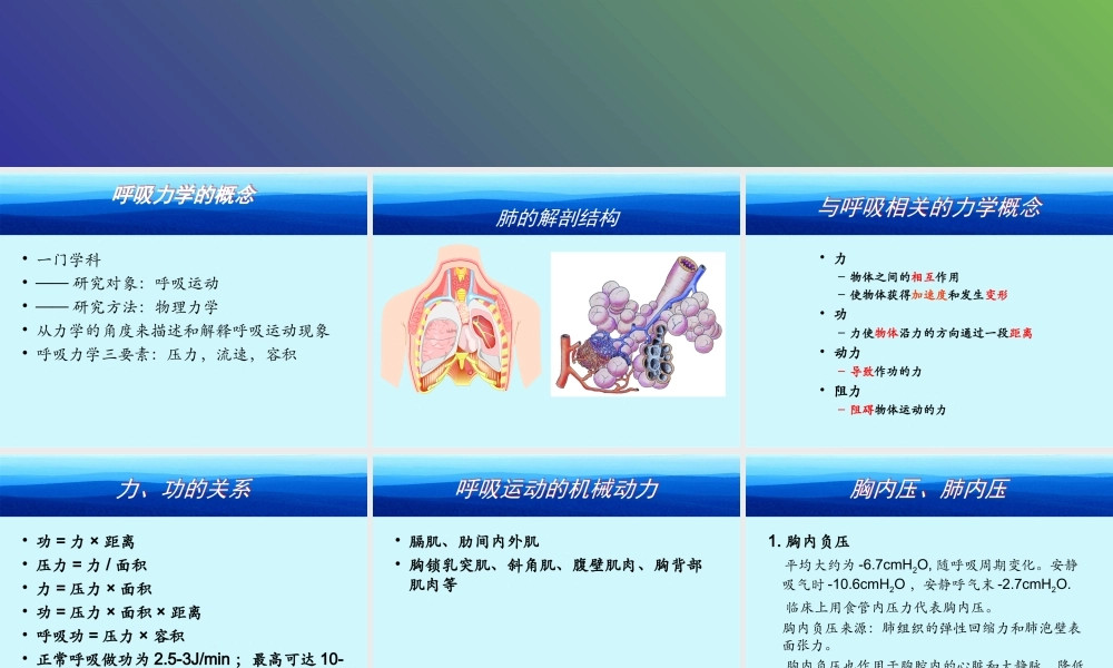呼吸力学.ppt