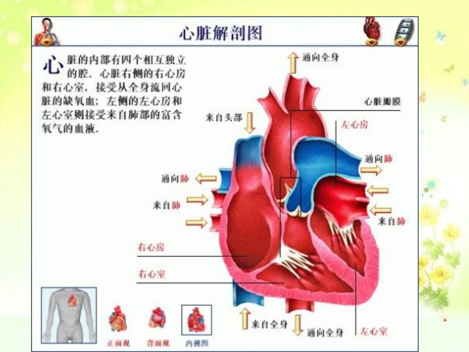 心脏生化标志物检验.ppt_第3页