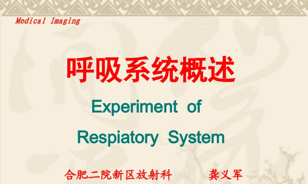 呼吸系统影像学概述.ppt