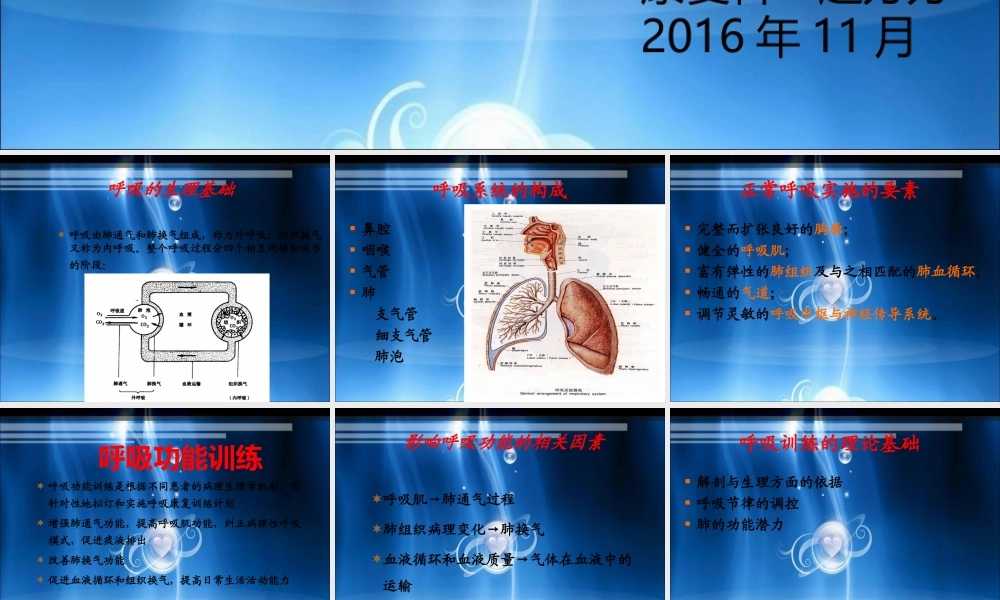 呼吸功能训练-(1).ppt