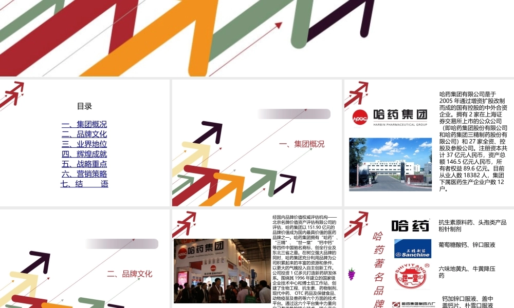 哈药着名品牌-红软基地.ppt