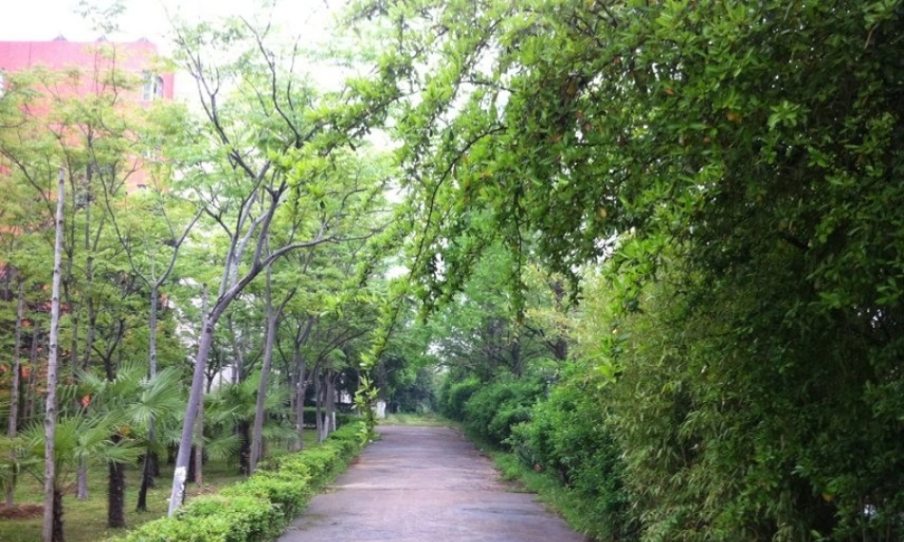 品鉴王孟山水田园诗及精神内核资料.ppt