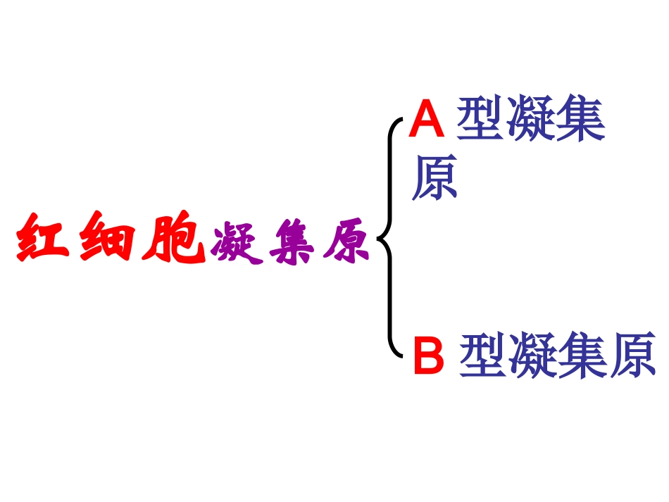 新教材-输血与血型-佛山谢永红.ppt_第3页