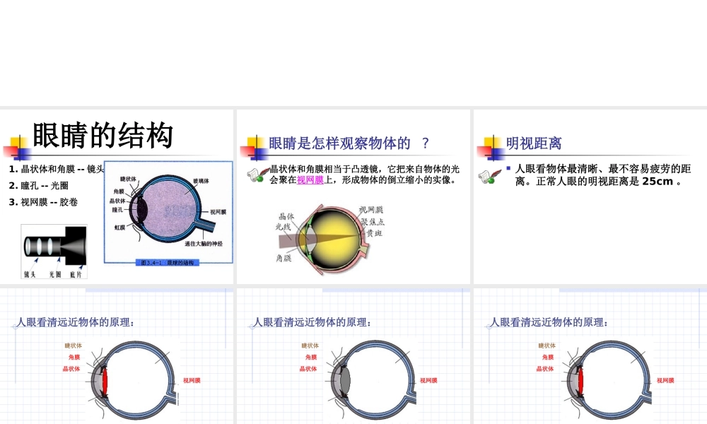 四、眼睛和眼镜.ppt