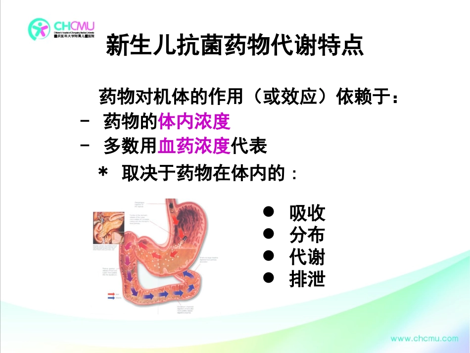 新生儿抗菌药应用问题.ppt_第3页