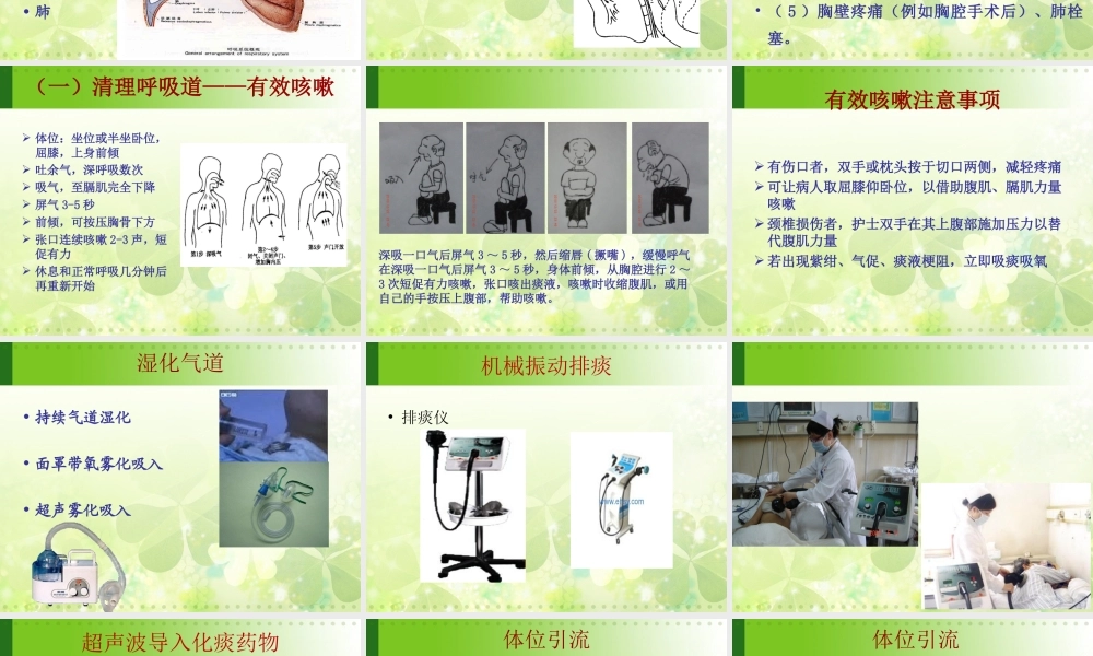 呼吸功能锻炼(1)分解.ppt