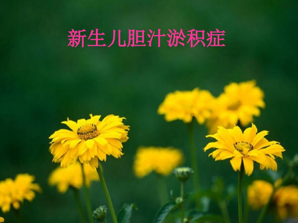 新生儿胆汁瘀积.ppt_第1页