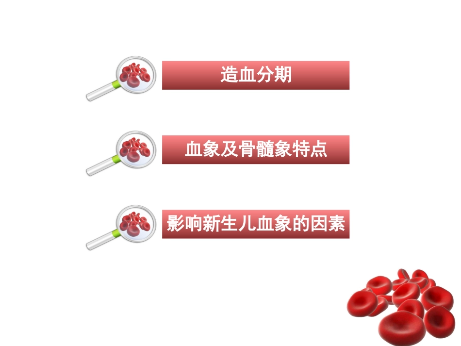新生儿血液系统发育及特点.ppt_第2页