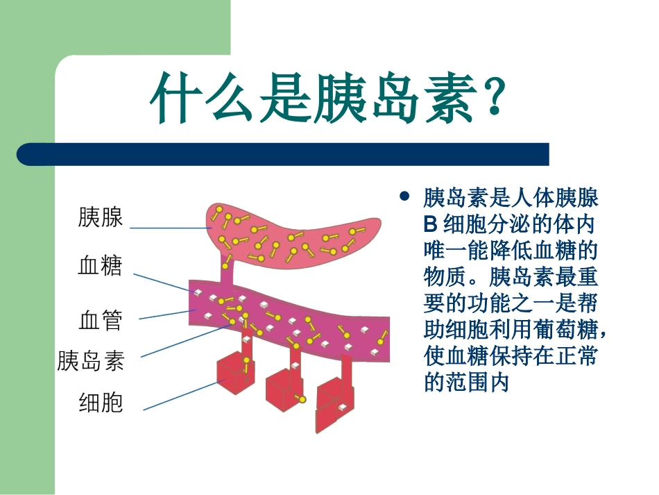 新胰岛素科普指南.ppt_第2页
