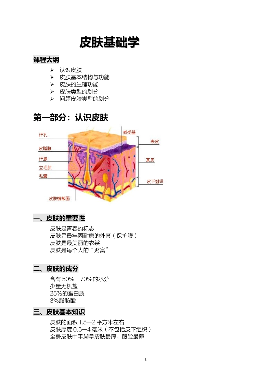 关于皮肤基础知识的详解...doc_第1页