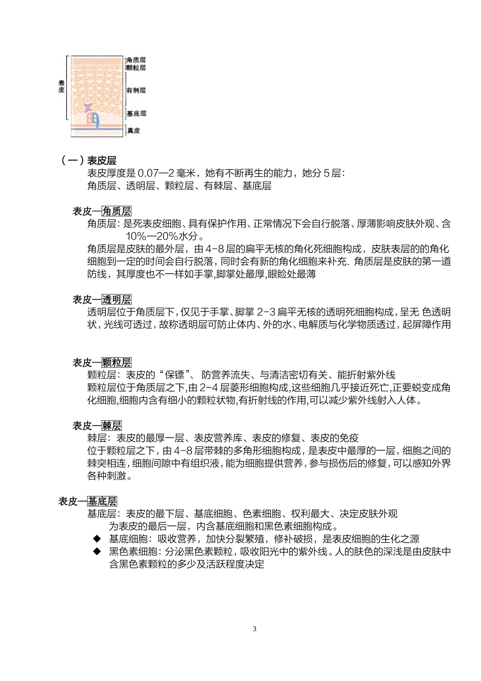 关于皮肤基础知识的详解...doc_第3页