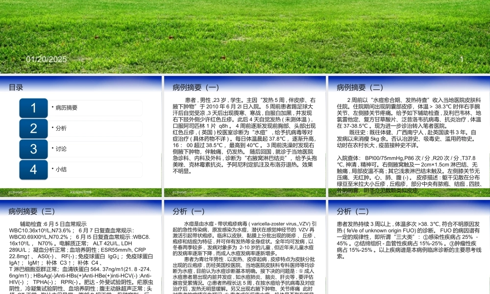 发热皮疹淋巴结大.pptx