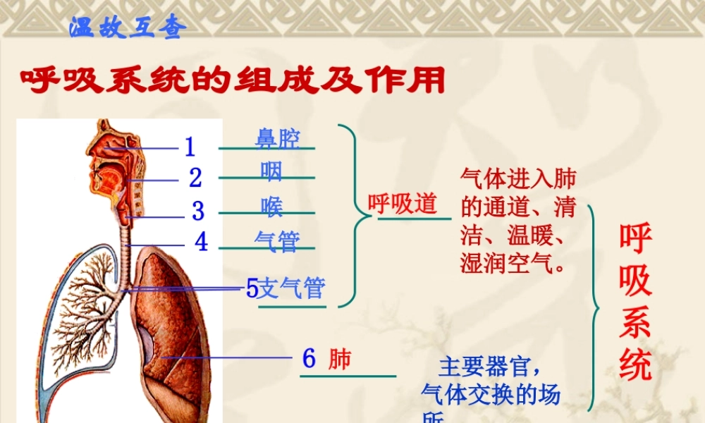 发生在肺内的气体交换PPT).ppt