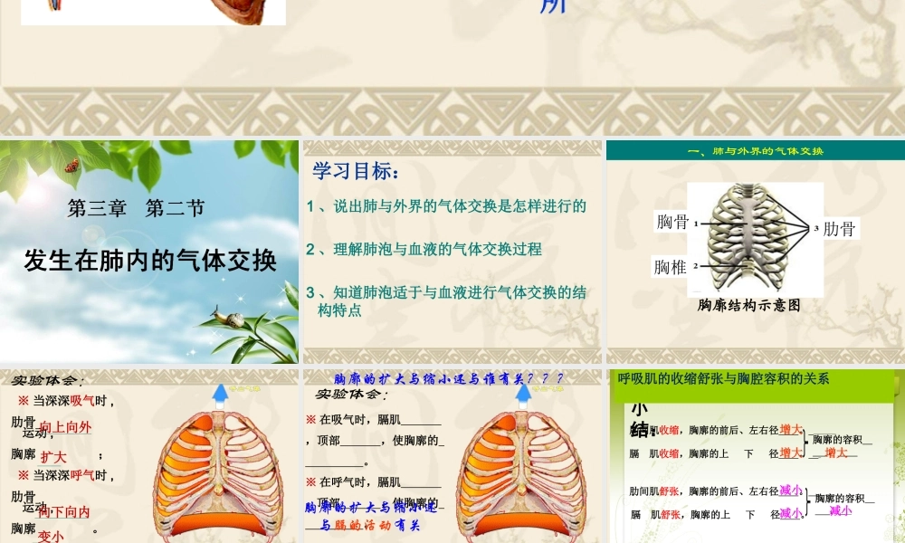 发生在肺内的气体交换PPT).ppt