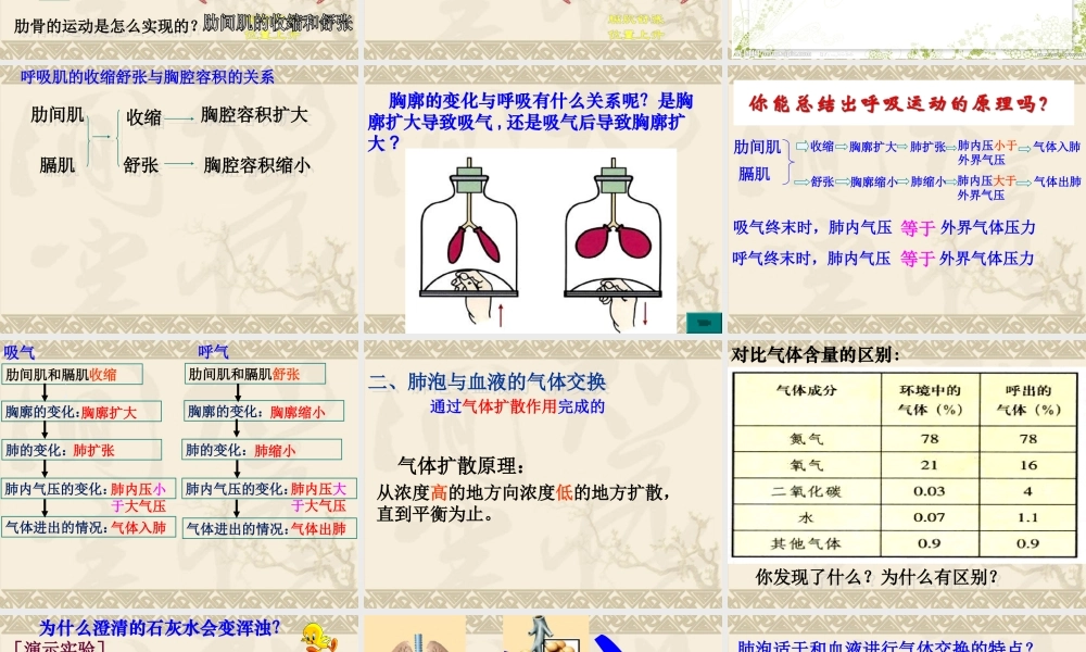 发生在肺内的气体交换PPT).ppt