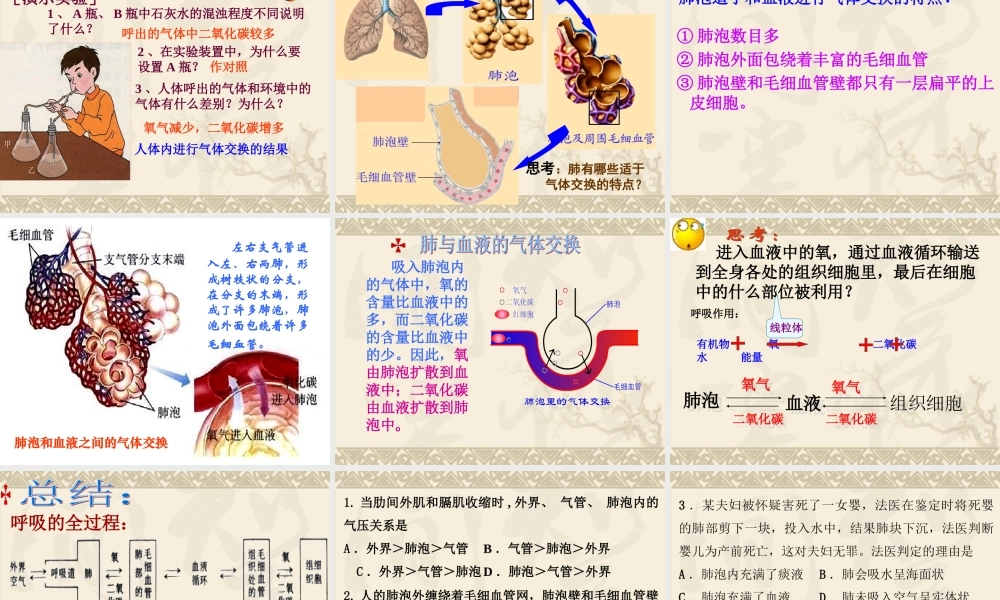 发生在肺内的气体交换PPT).ppt