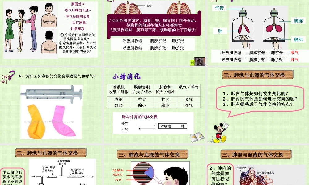 发生在肺内的气体交换(3).ppt