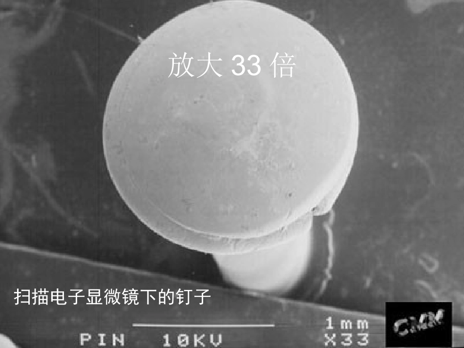 无处不在的细菌.ppt_第1页