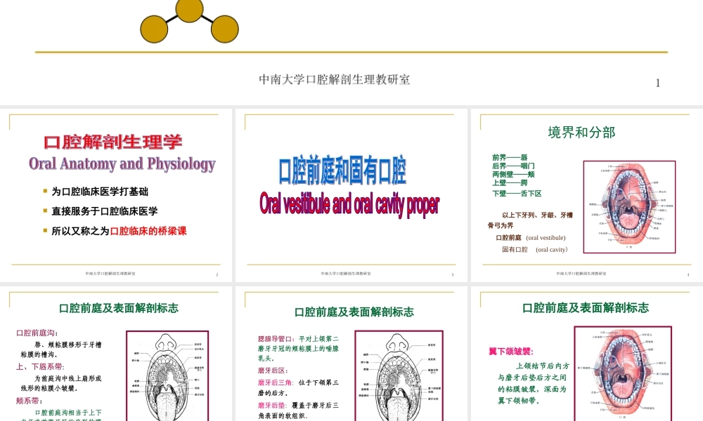 口腔基本结构.ppt