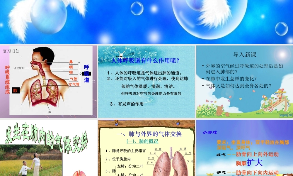 发生在肺内的气体交换(1).ppt