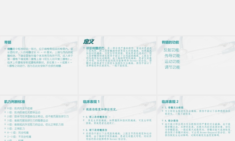 9月颈脊髓损伤.ppt