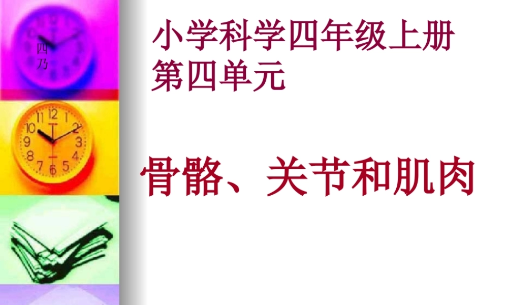 4.2《骨骼关节和肌肉》kejian.ppt