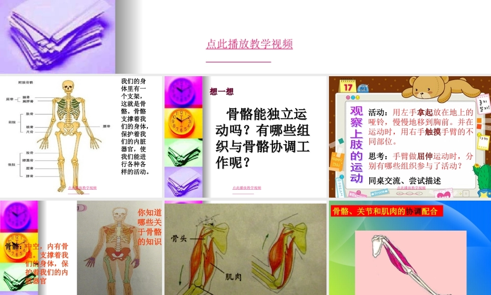 4.2《骨骼关节和肌肉》kejian.ppt