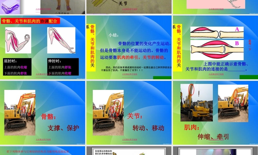 4.2《骨骼关节和肌肉》kejian.ppt