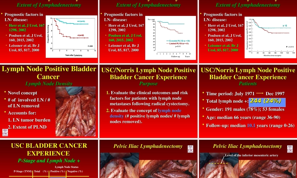 Stein-膀胱癌淋巴清扫资料.ppt