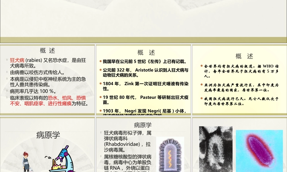 4狂犬病(新).ppt